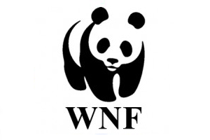 wnf logo